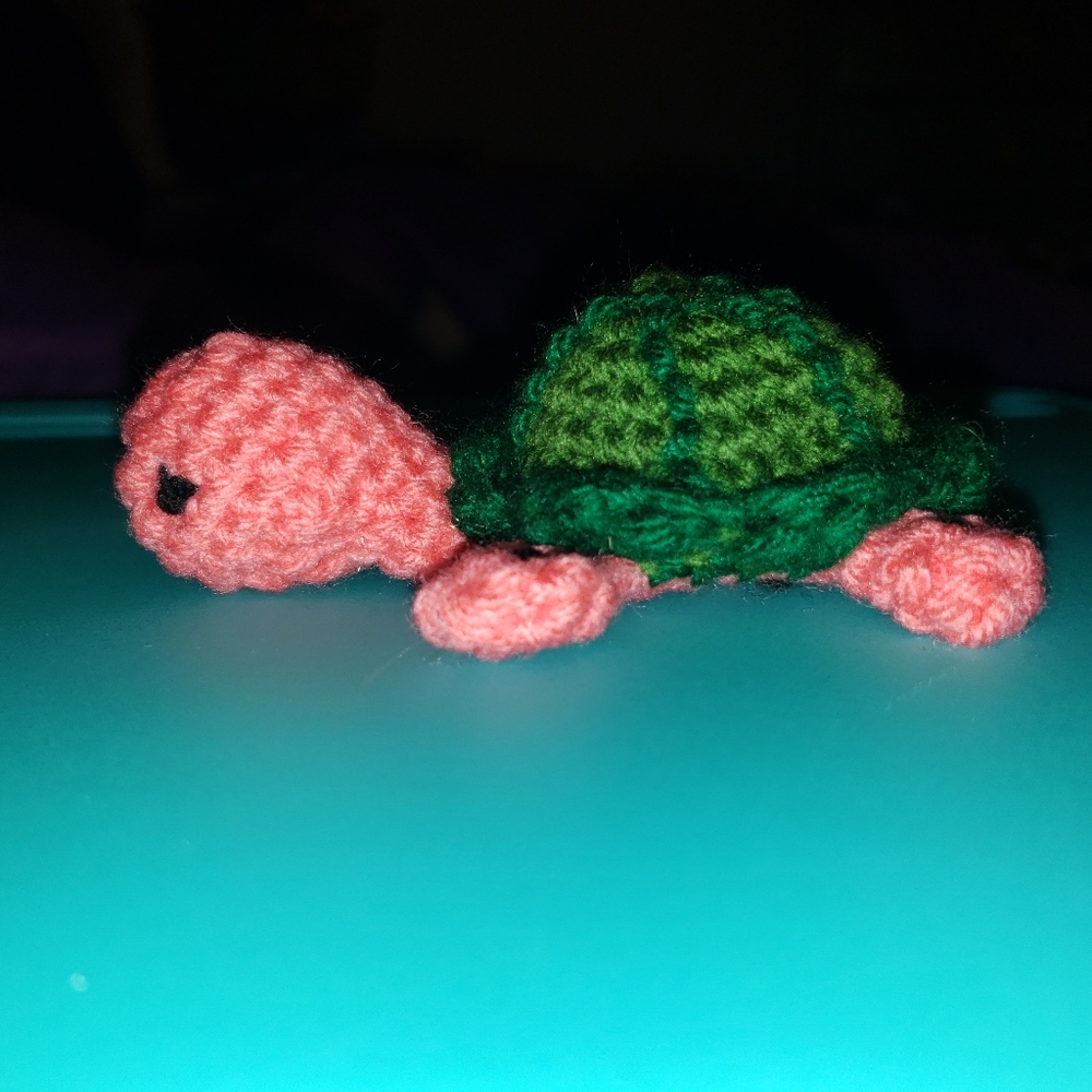 Crochet Watermelon Turtle Amigurumi